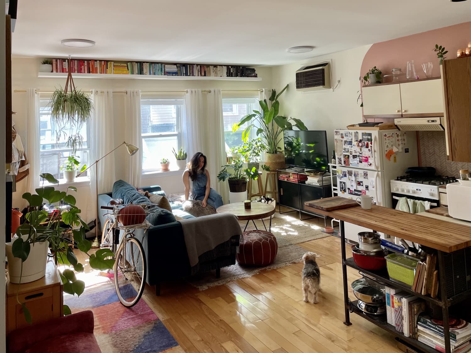 Living in a studio apartment with a dog clearance
